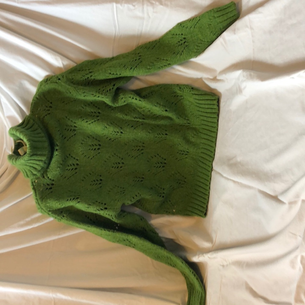 Absolutely gorgeous  turtle neck sweater.